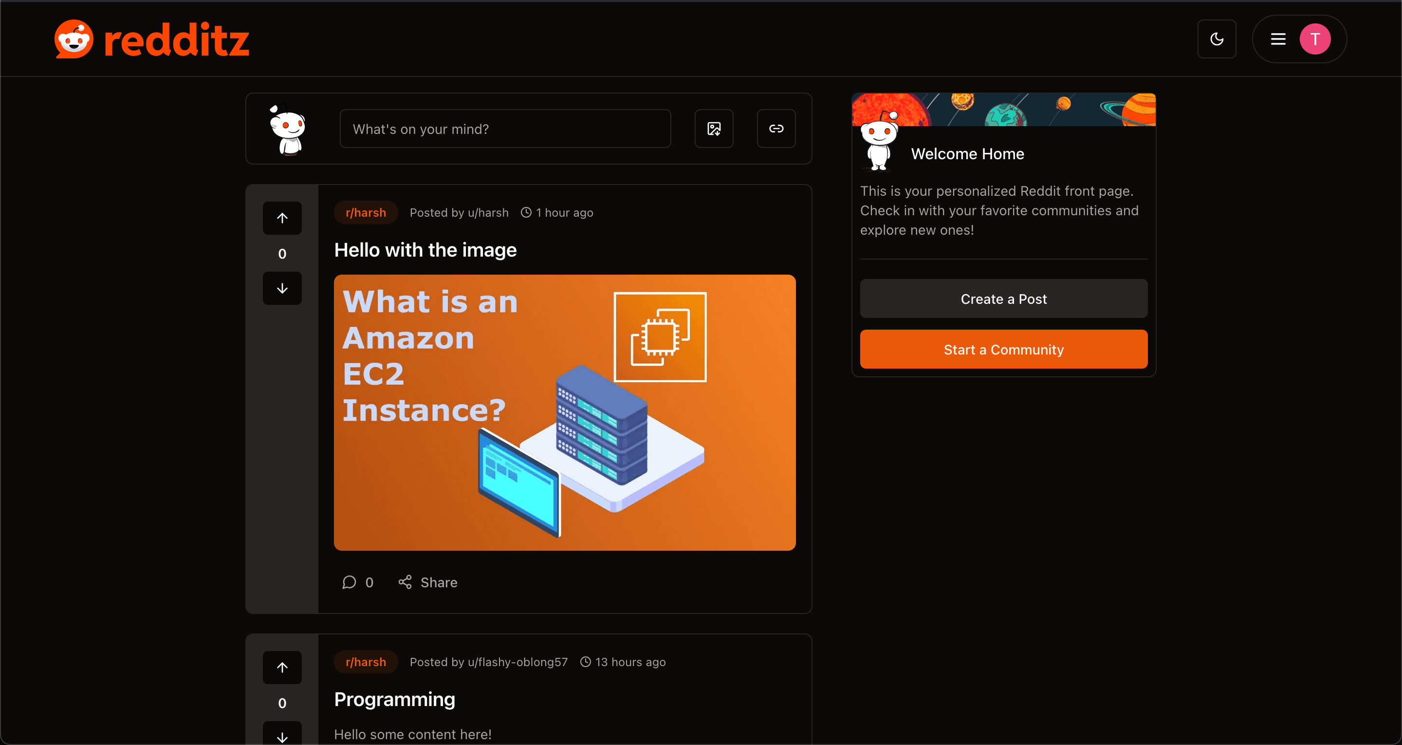 Redditz project screenshot